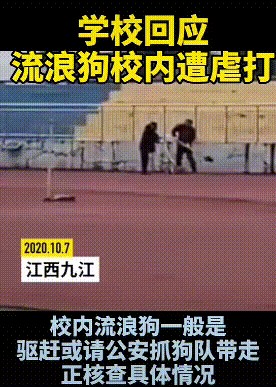 流浪狗误入校园被电击、虐打，场面触目惊心，说好的爱护动物呢？